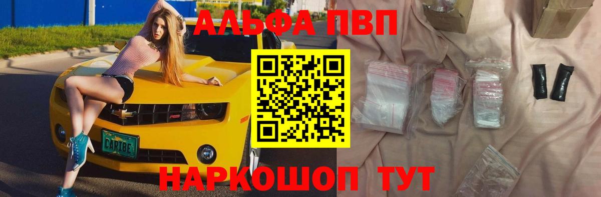 Alfa_PVP СК Губкинский