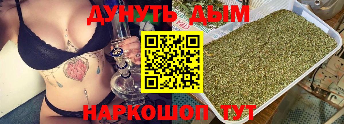 Каннабис ГИДРОПОН Губкинский